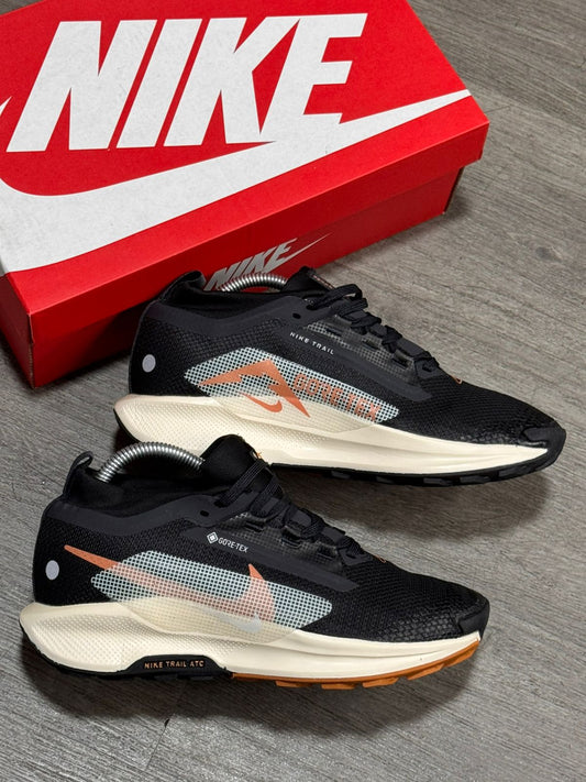 Nike Pegasus Trail 5 GORE-TEX. caballero